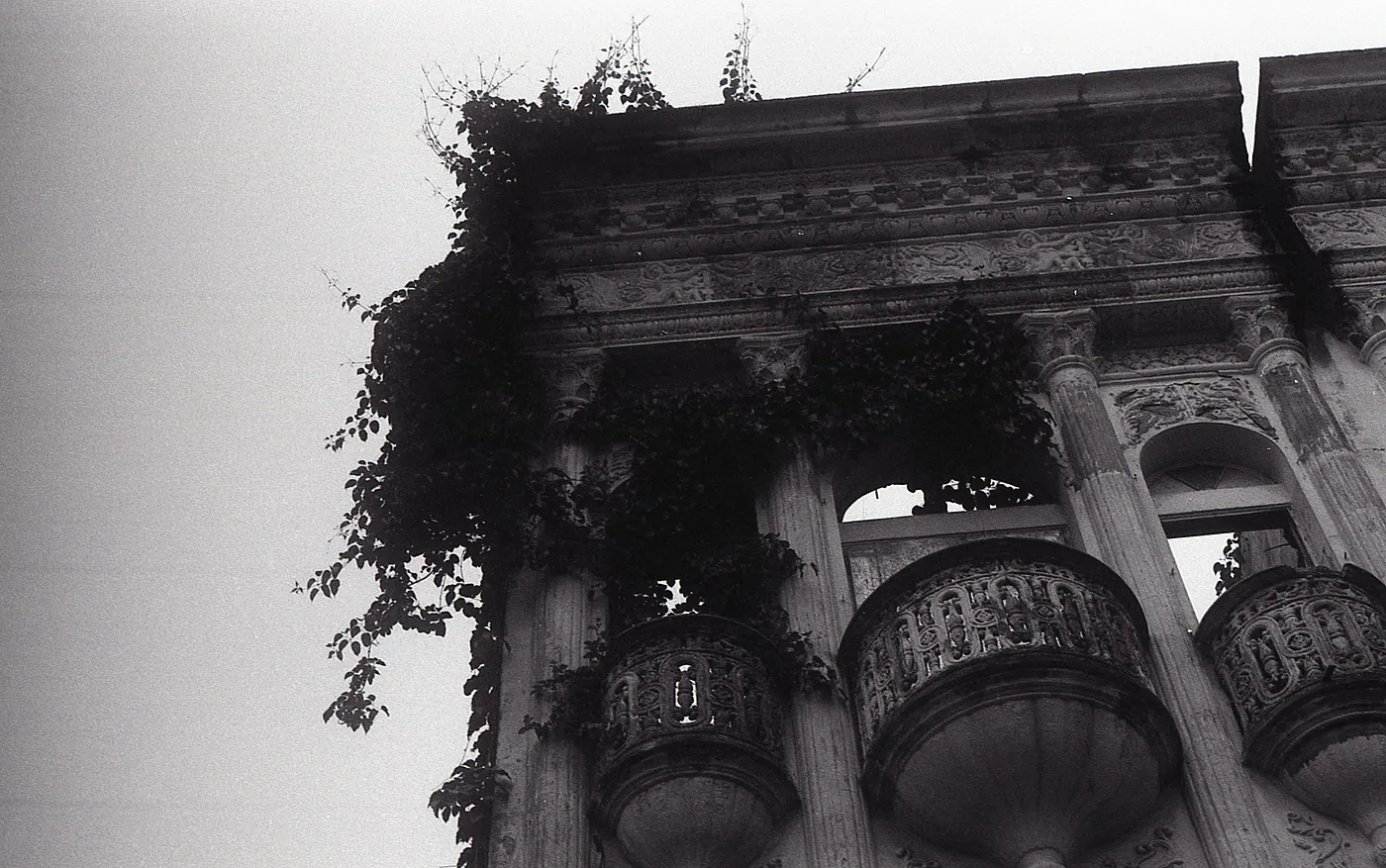 The present growing out of the past